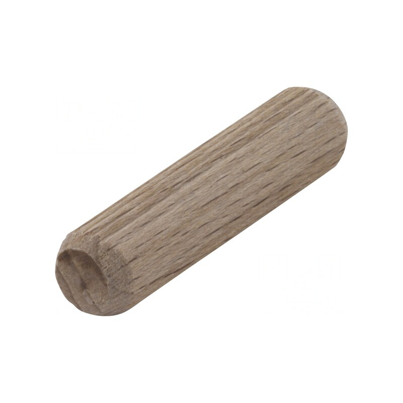 Ştift de Montare Lemn Fag 10mm x 40mm 120buc | Electronic-mag.ro | Componente Electronice