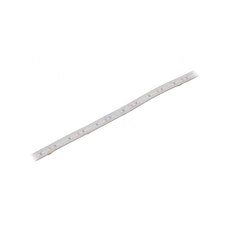 Bandă LED Alb Rece 24V IP65 | Electronic-mag.ro | Componente Electronice