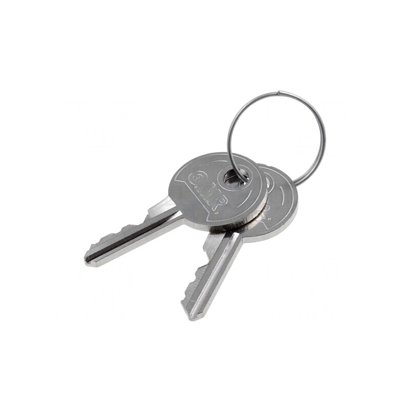 Chei de Rezervă pentru FS | Electronic-mag.ro | Componente Electronice Chei de Rezervă pentru FS | Electronic-mag.ro | Componente Electronice
