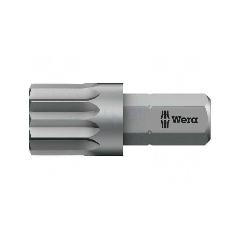 Capăt şurubelniţă spline XZN M10 | Electronic-mag.ro | Componente Electronice Capăt şurubelniţă spline XZN M10 | Electronic-mag.ro | Componente Electronice