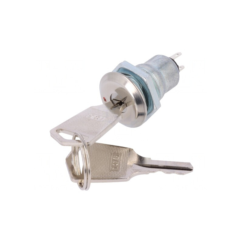 Întrerupător cu Cheie SPST 90° 2 Pini | Electronic-mag.ro | Componente Electronice