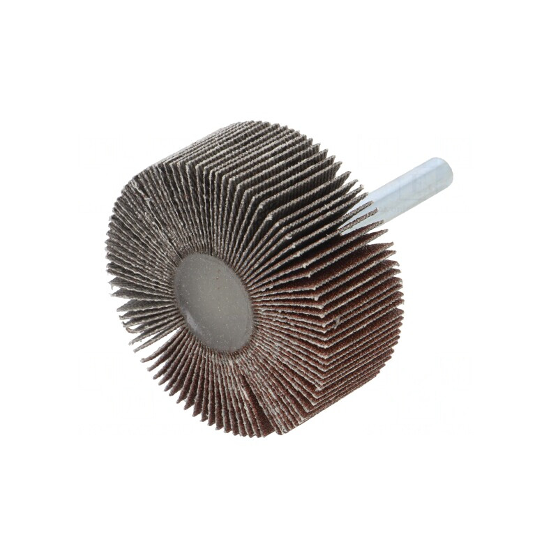 Ax Granularitate 120 cu Tijă 6mm și Ax Ø50x20mm | Electronic-mag.ro | Componente Electronice