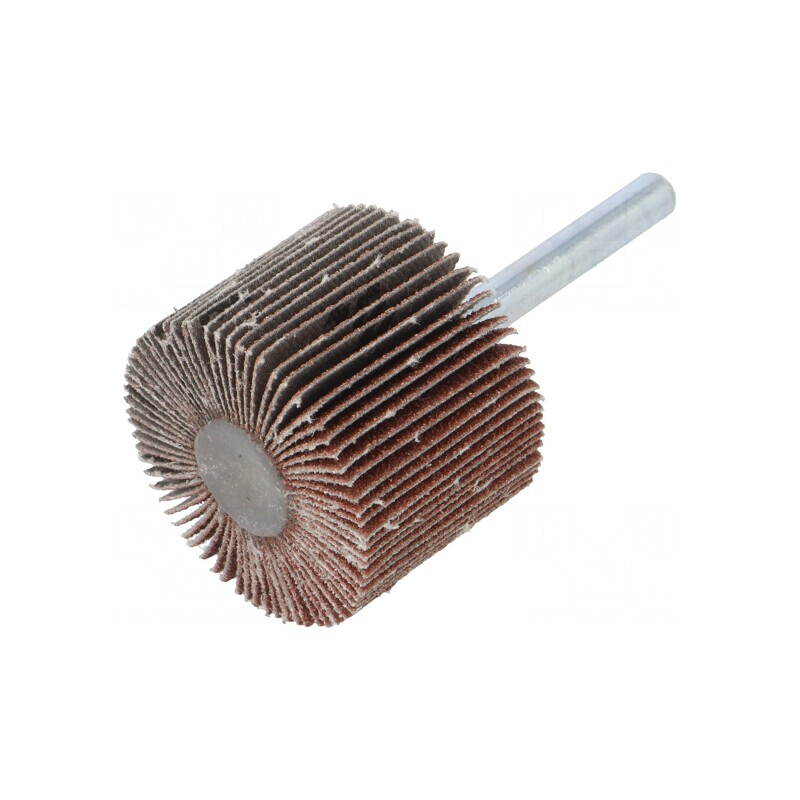 Ax Granularitate 80 cu Tijă 6mm și Ax Ø40x30mm | Electronic-mag.ro | Componente Electronice