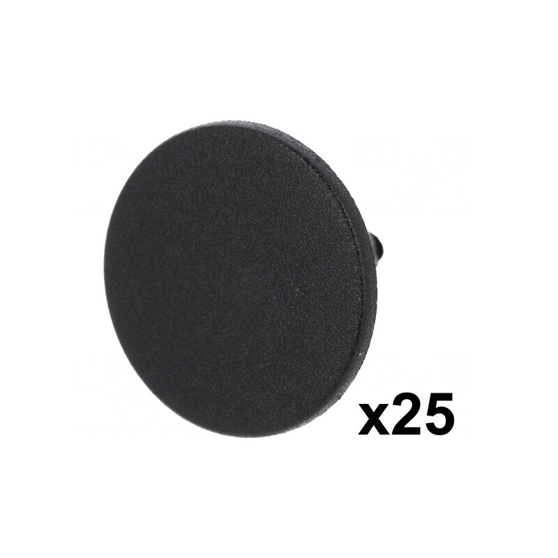 Clipsuri tapițerie negre 25buc Fiat Lancia | Electronic-mag.ro | Componente Electronice