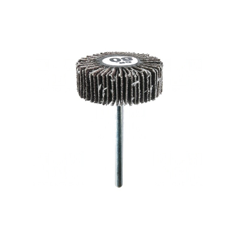 Disc de Șlefuit cu Lambouri 30mm 3mm 10mm | Electronic-mag.ro | Componente Electronice