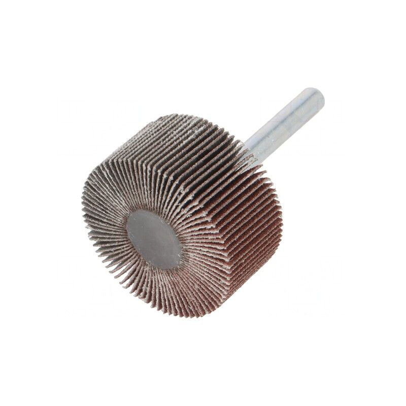 Ax Granularitate 120 cu Tijă 6mm și Ax 40x20mm | Electronic-mag.ro | Componente Electronice