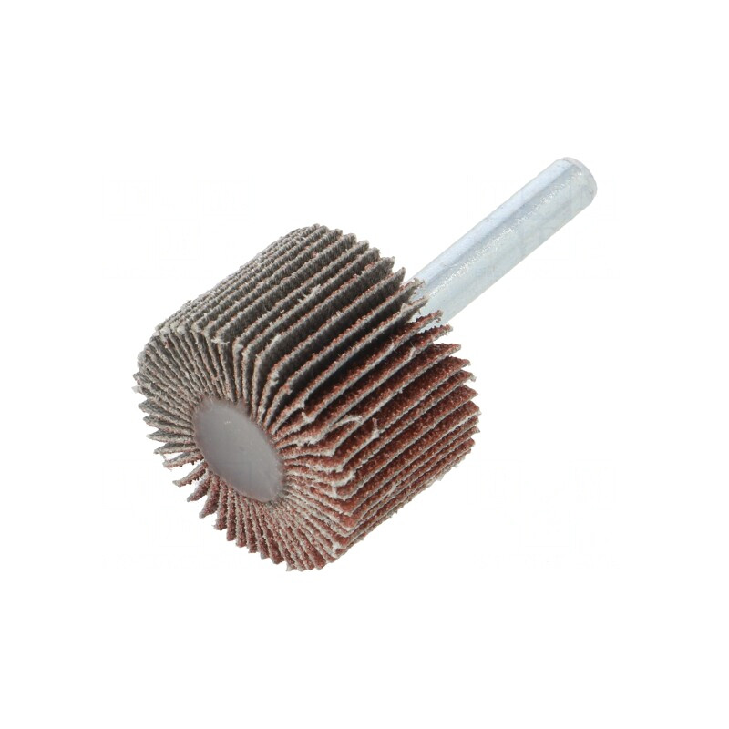 Ax de Polizare Granularitate 60 cu Tijă 6mm și Ax Ø30x20mm | Electronic-mag.ro | Componente Electronice