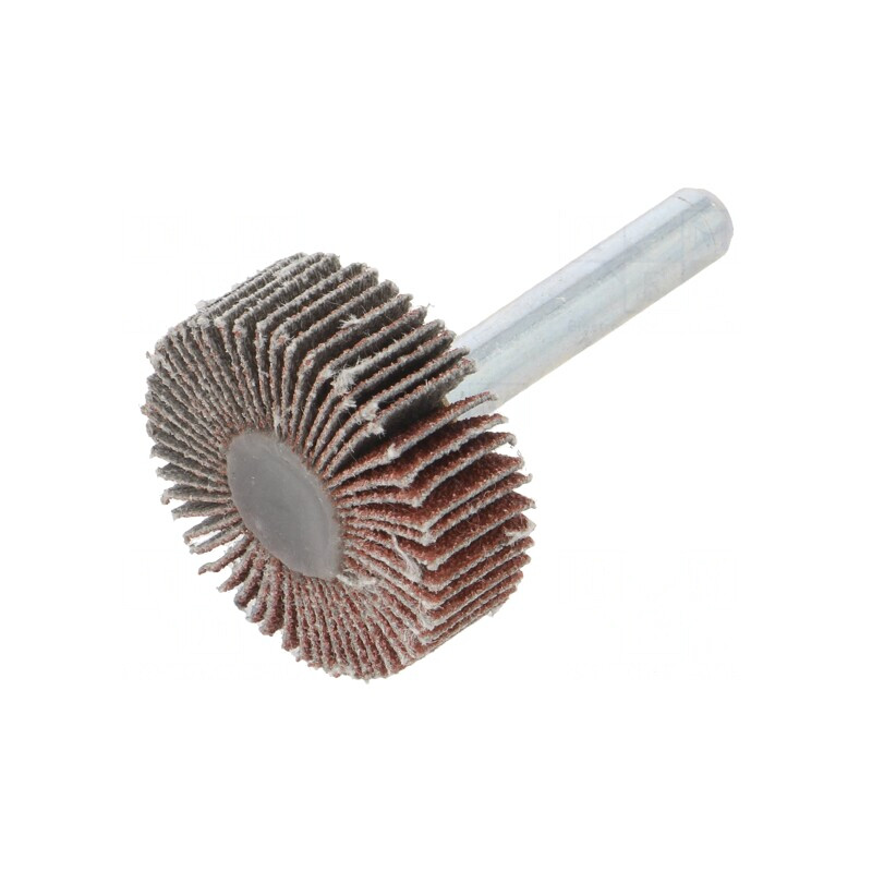 Ax Granularitate 80 cu Tijă 6mm și Ø30x10mm | Electronic-mag.ro | Componente Electronice
