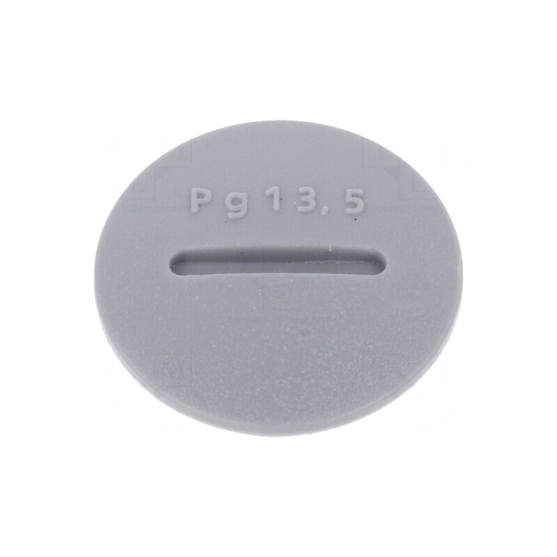Capac de protecție PG13,5 poliamidă gri închis PG 6mm | Electronic-mag.ro | Componente Electronice Capac de protecție PG13,5 poliamidă gri închis PG 6mm | Electronic-mag.ro | Componente Electronice