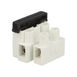 Regletă de Conexiuni Terminal cu Șurub 2,5mm2 450V 2 Piste | Electronic-mag.ro | Componente Electronice