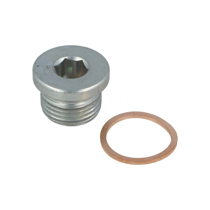 Dop filetat oțel zincat G 1/2 cu garnitură de cupru | Electronic-mag.ro | Componente Electronice Dop filetat oțel zincat G 1/2 cu garnitură de cupru | Electronic-mag.ro | Componente Electronice